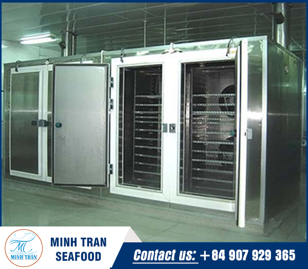 Design, construction and installation of air blast freezer